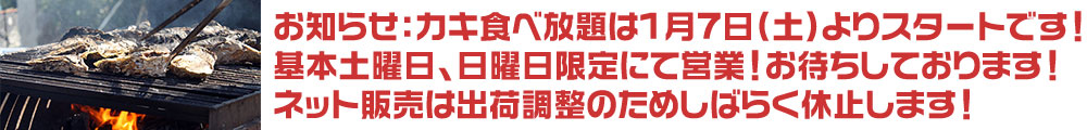 カキ食べ放題